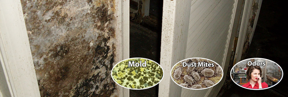 Mold, Dust Mites and Odors removal